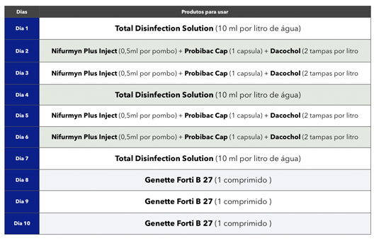 Tratamento do Adenovirus nos Pombos.