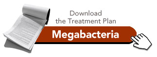 mega bacteria treatment