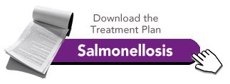 Salmonellosis Treatment plan for pigeons