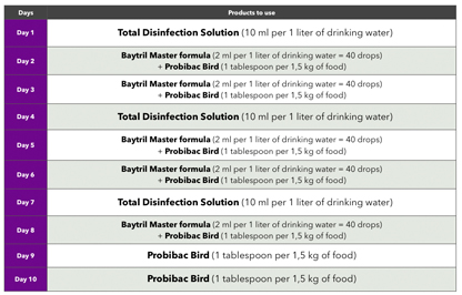 Salmonellosis Treatment plan for birds