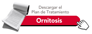Tratamiento Individual contra Ornitosis en Palomas