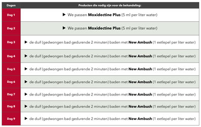 Behandeling tegen verenmijten bij duiven