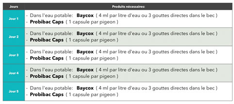 Traitement individuel de la Coccidiose chez les pigeons