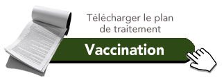 Schéma pour la vaccination des jeunes pigeons. (traitement individuel)